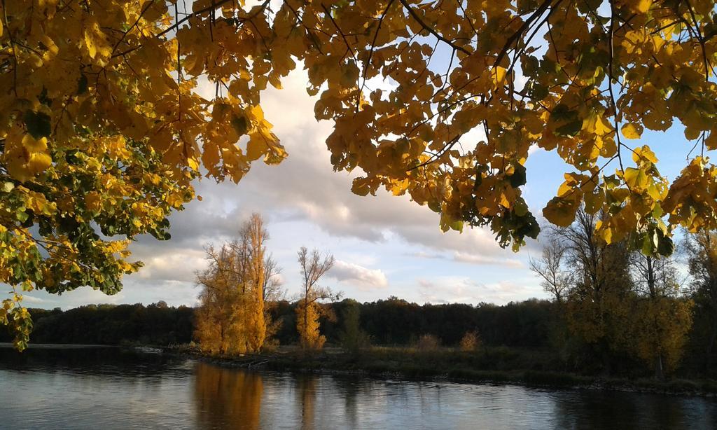 La Chaumiere Bed & Breakfast Ousson-sur-Loire Exterior foto
