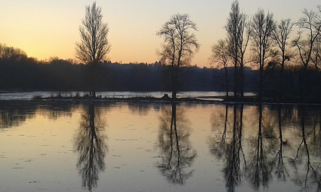 La Chaumiere Bed & Breakfast Ousson-sur-Loire Exterior foto