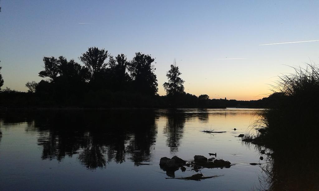 La Chaumiere Bed & Breakfast Ousson-sur-Loire Exterior foto