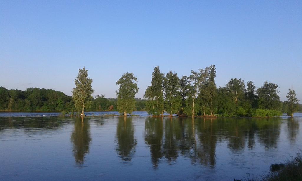 La Chaumiere Bed & Breakfast Ousson-sur-Loire Exterior foto