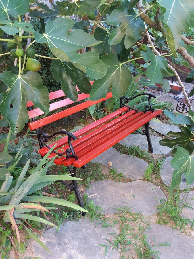 La Chaumiere Bed & Breakfast Ousson-sur-Loire Exterior foto